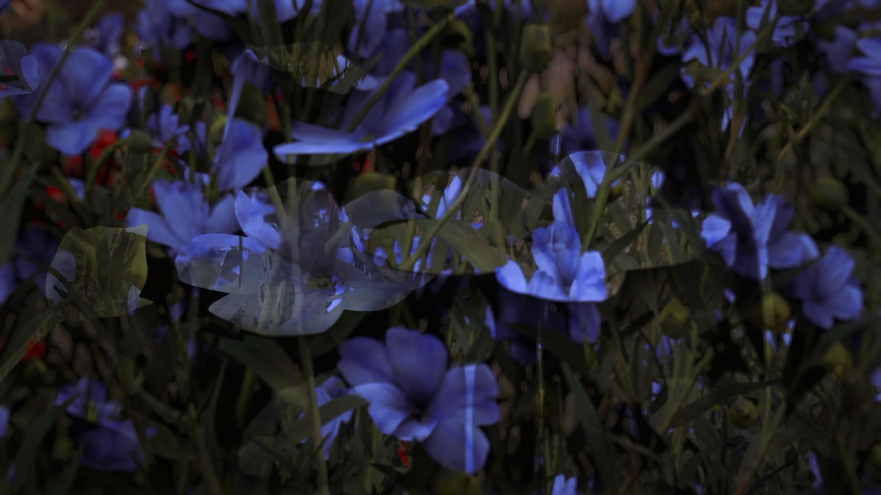 Studies on Breaking Immersion